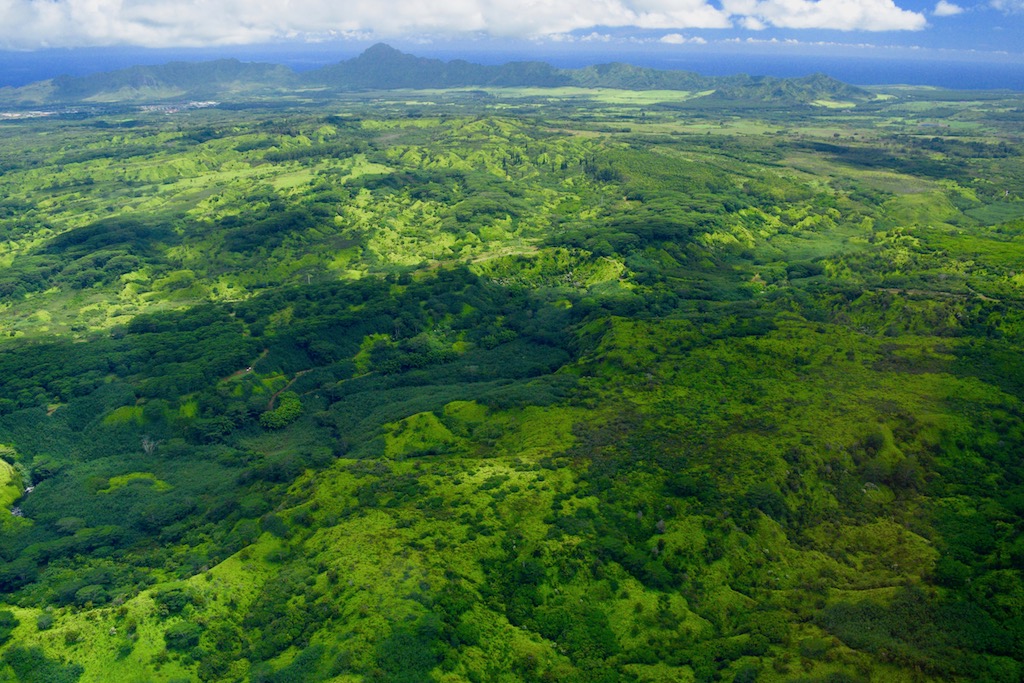リフエ・コロア森林保護区