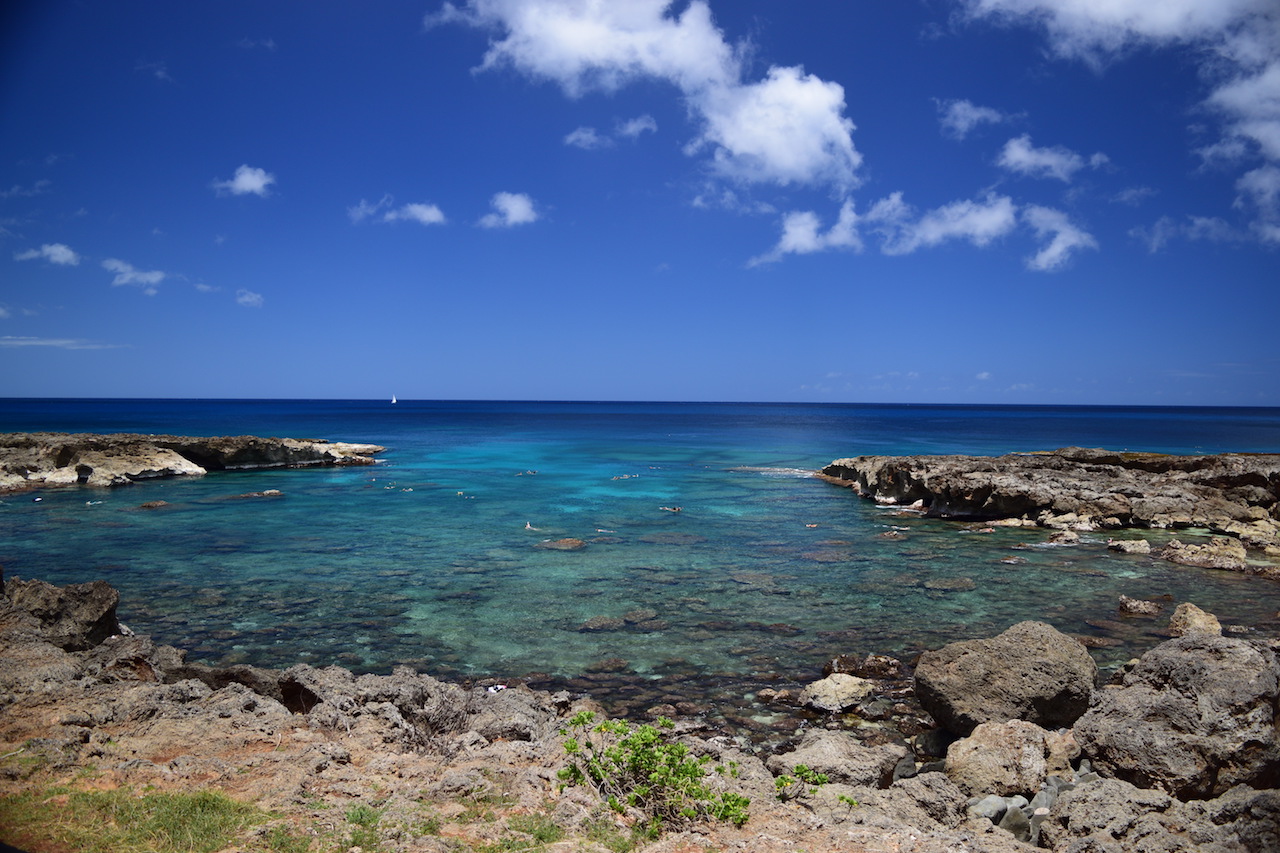 Shark's Cove - Bay